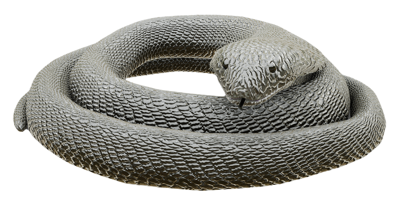 Cobra