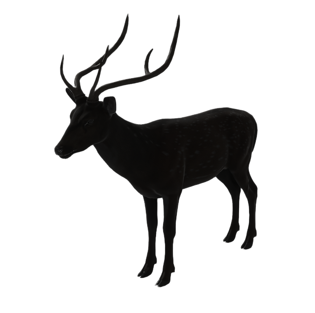 Axis Deer male fur 4