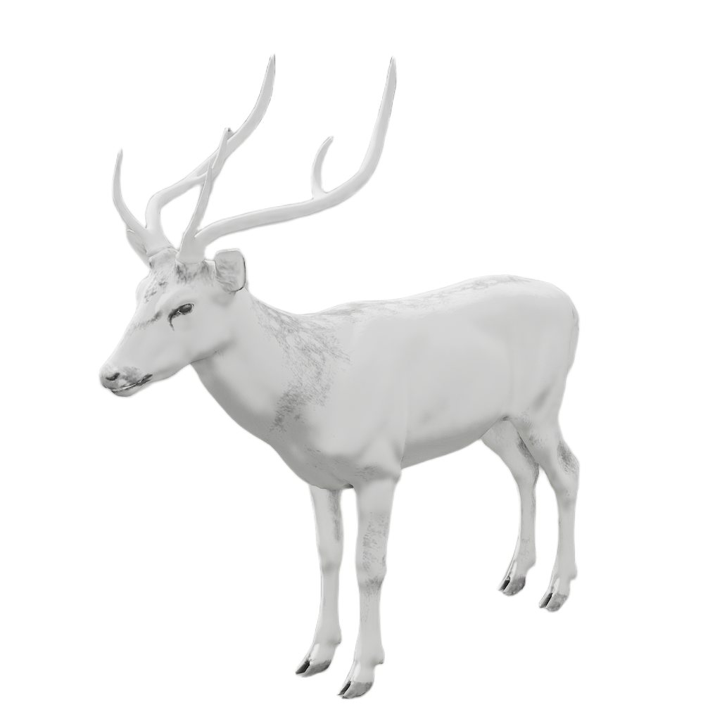 Axis Deer male fur 6