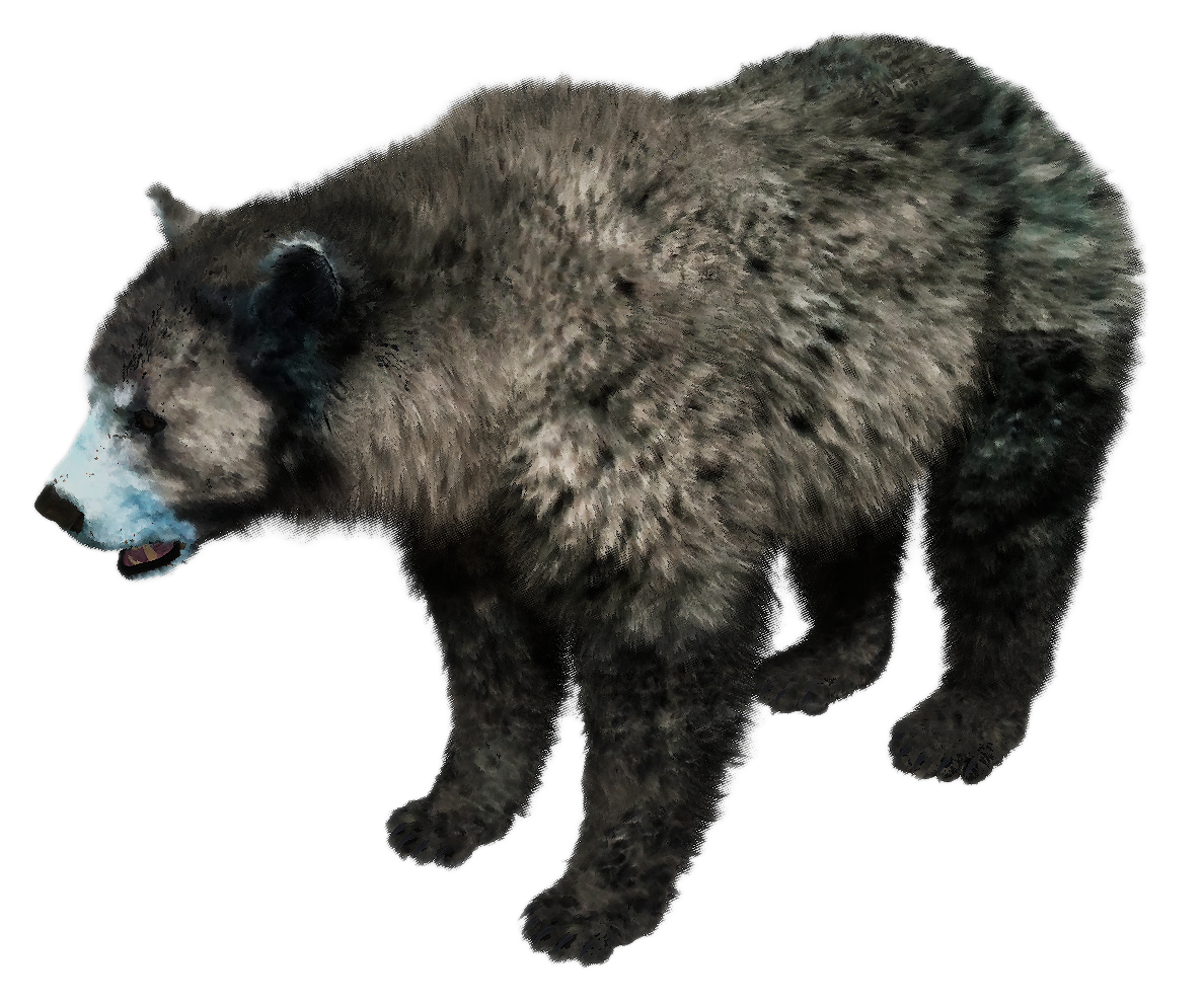 Black Bear male fur 4