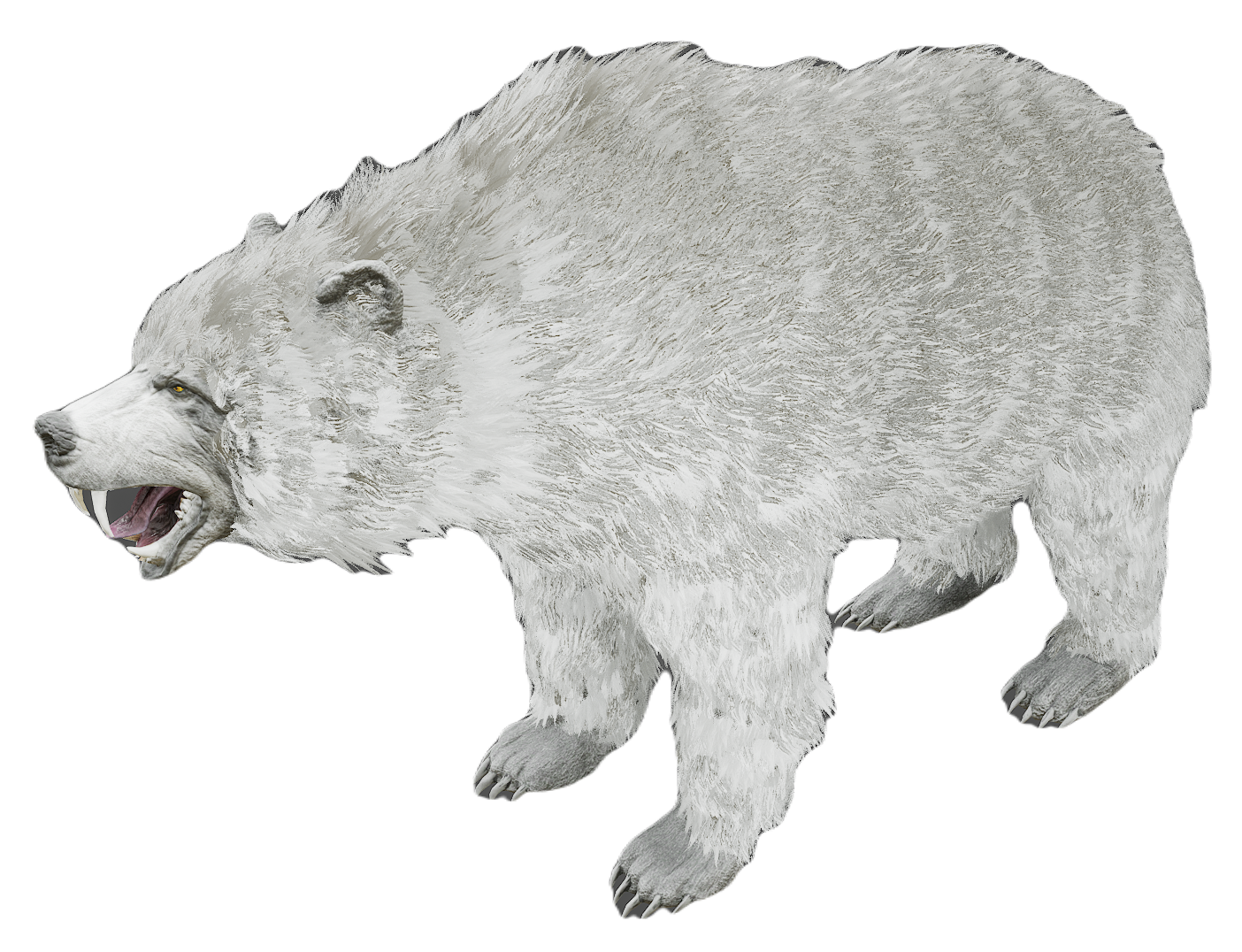Black Bear male fur 8