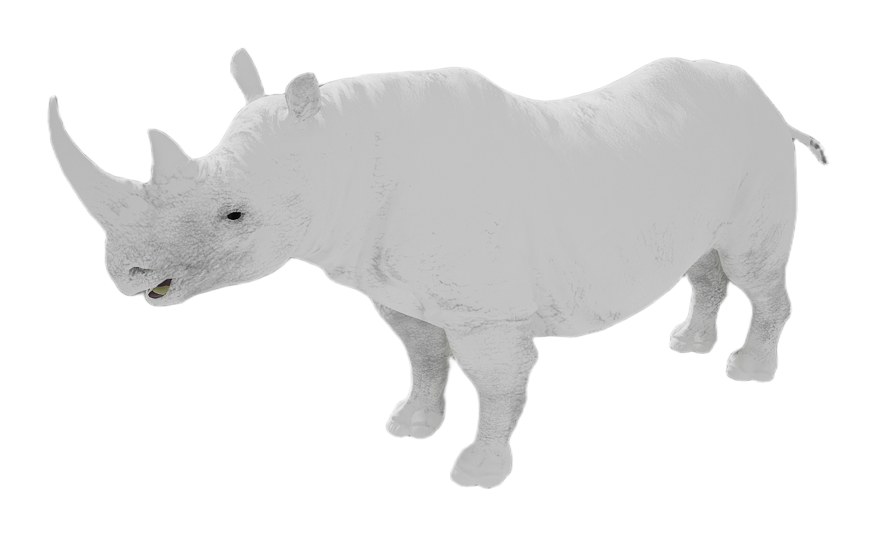 Black Rhinoceros male fur 6