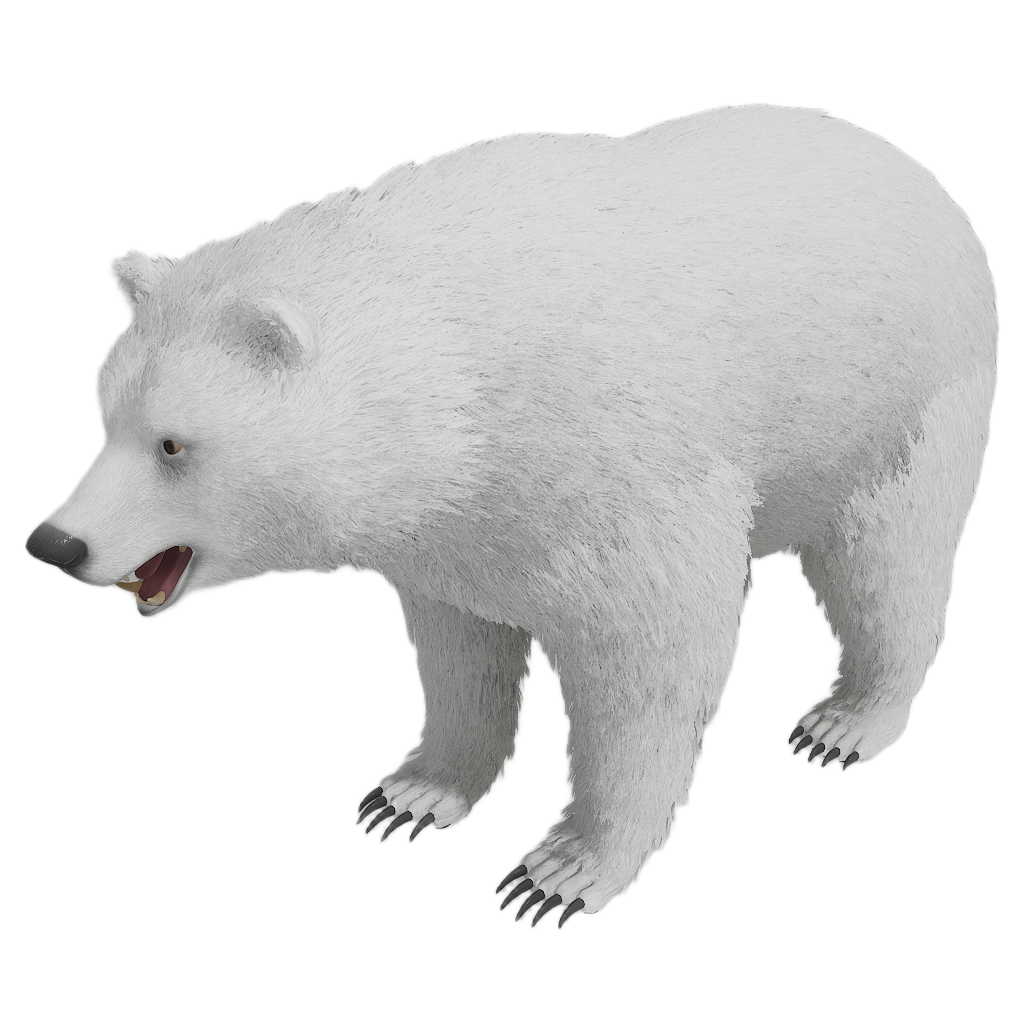 Brown Bear male fur 6