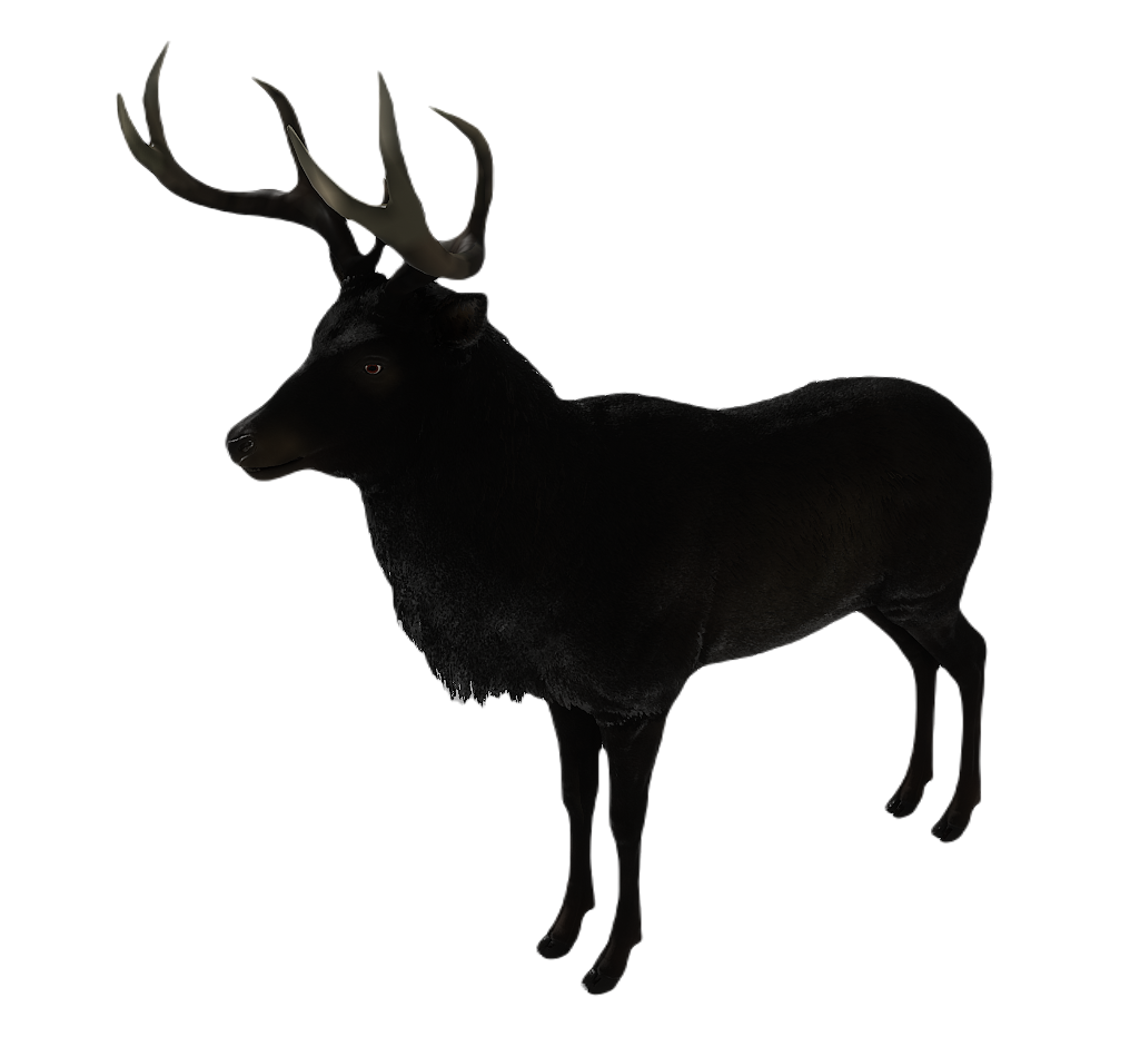 Corsican Deer male fur 3