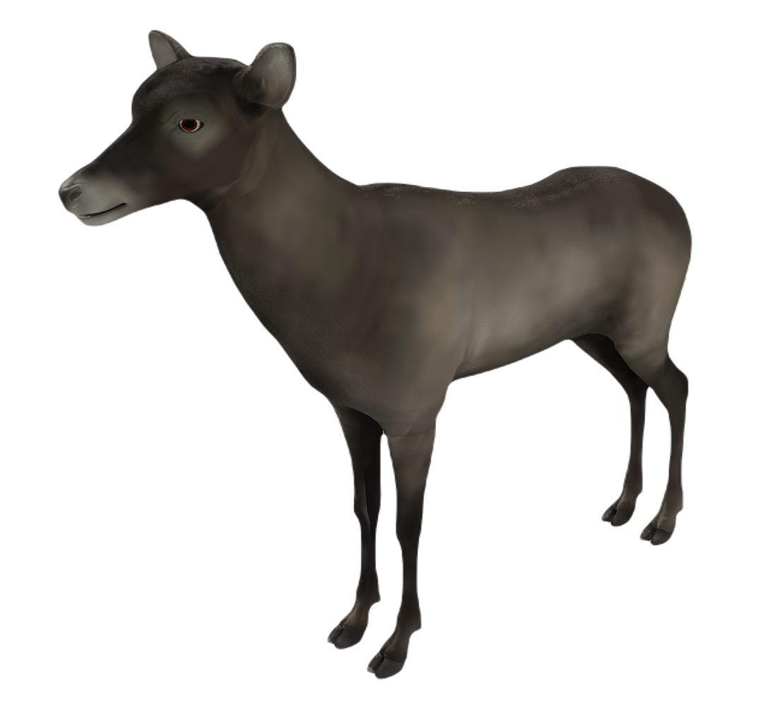 Corsican Deer female fur 1