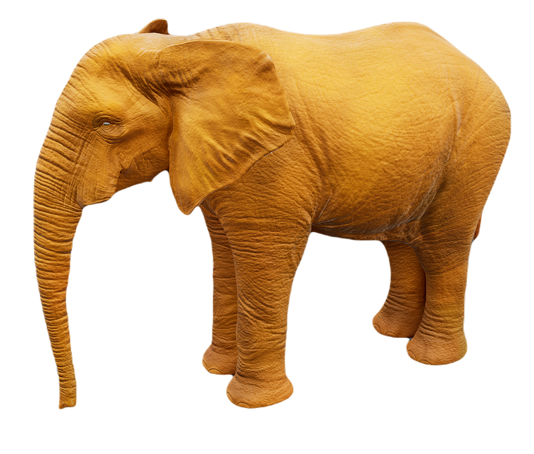 African Elephant male fur 3