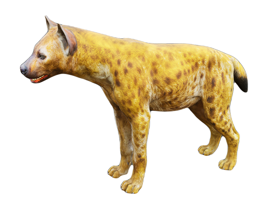 Hyena male fur 3