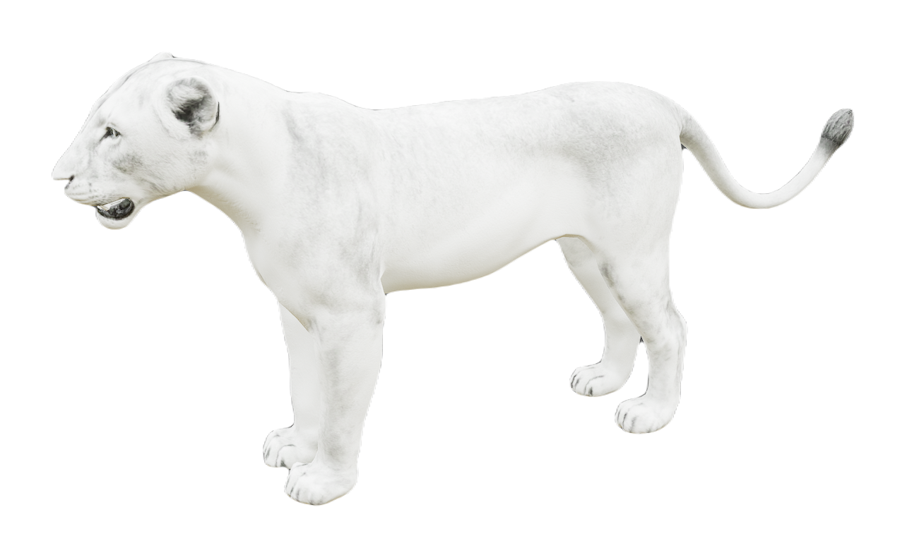 Lion female fur 6