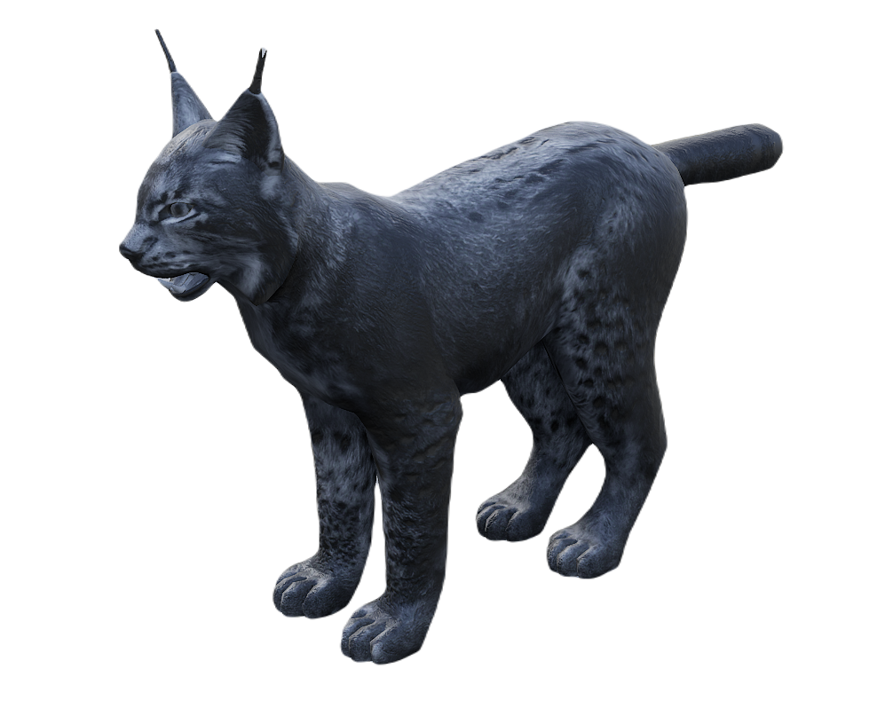 Lynx male fur 3