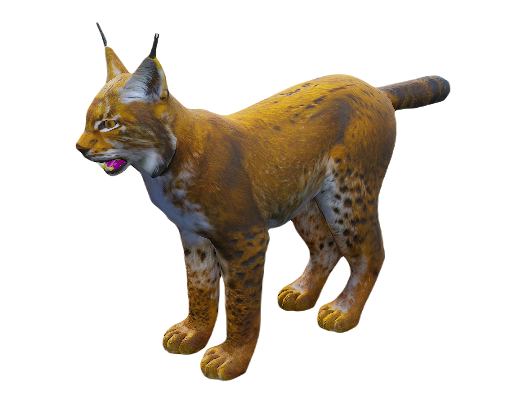 Lynx male fur 4