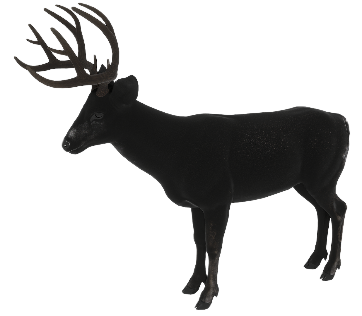 Mule Deer male fur 4