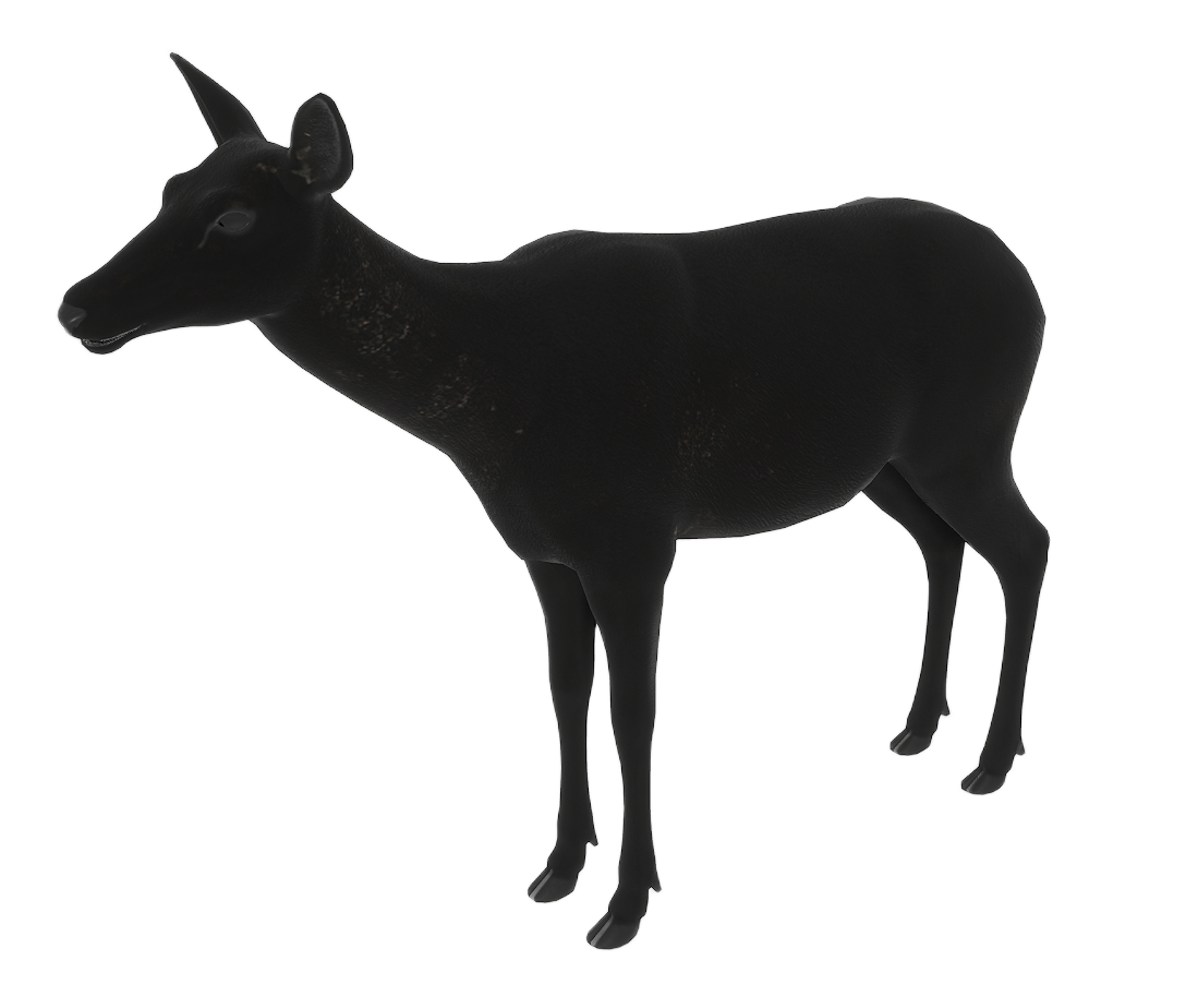 Red Deer female fur 4