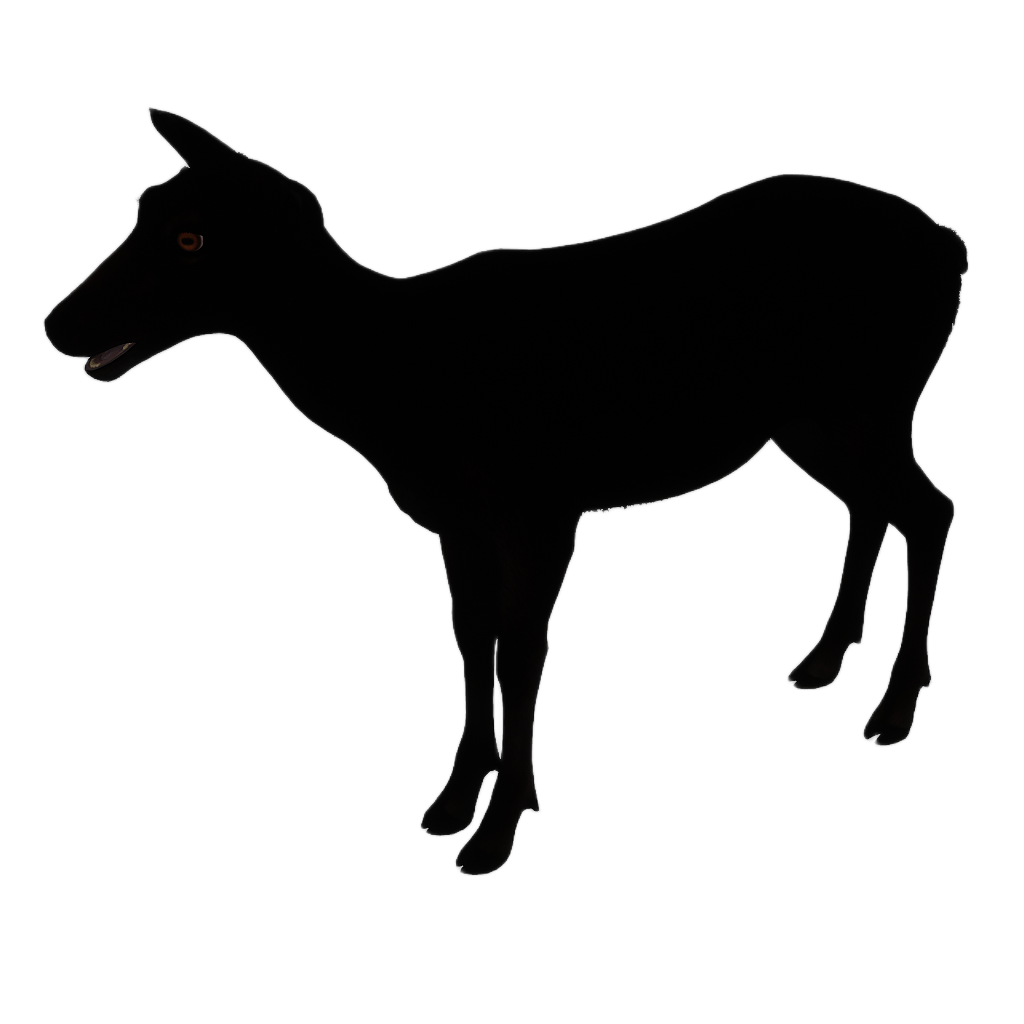 Sika Deer female fur 4
