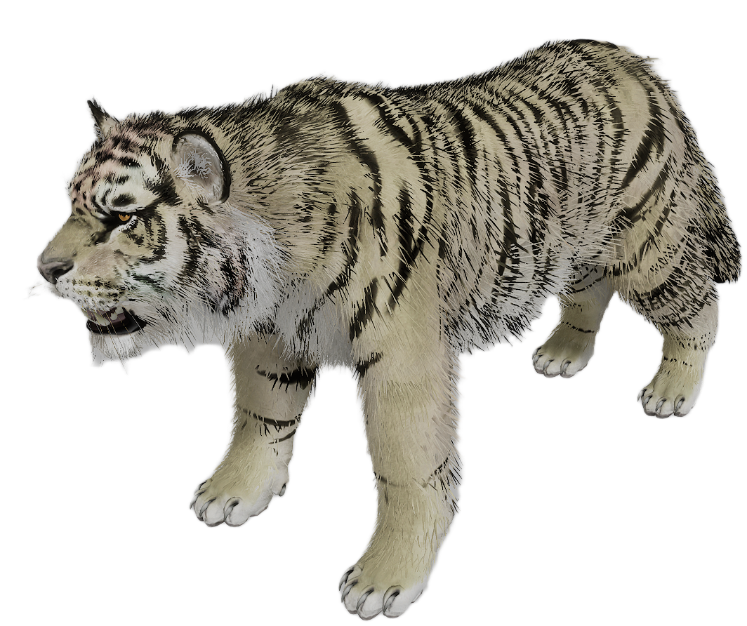 Tiger male fur 1
