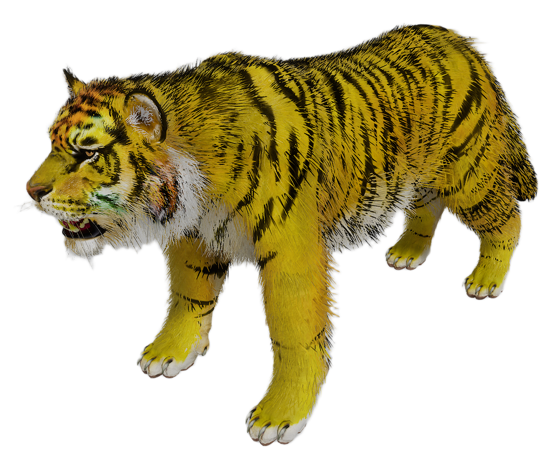 Tiger male fur 3