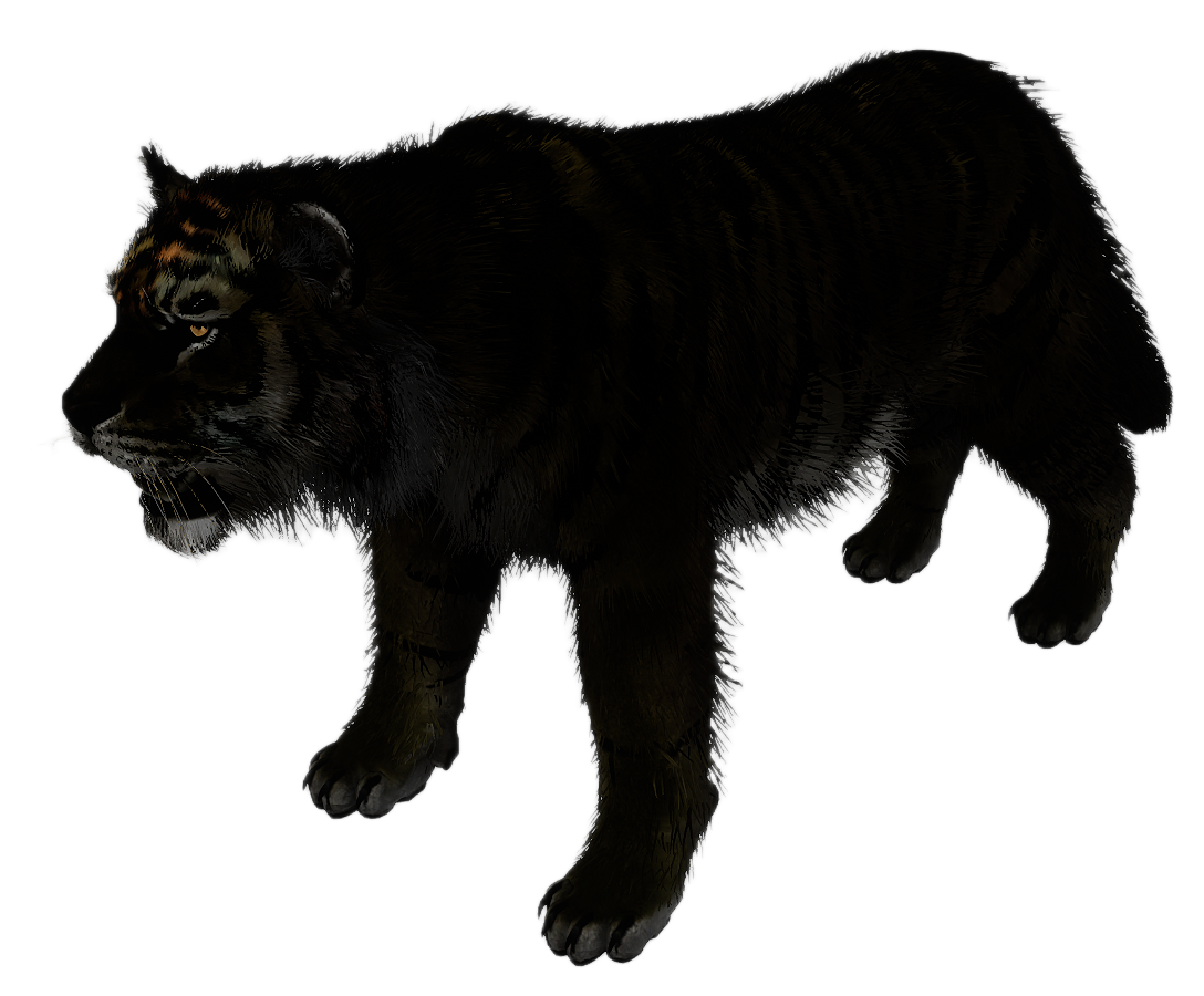 Tiger male fur 4