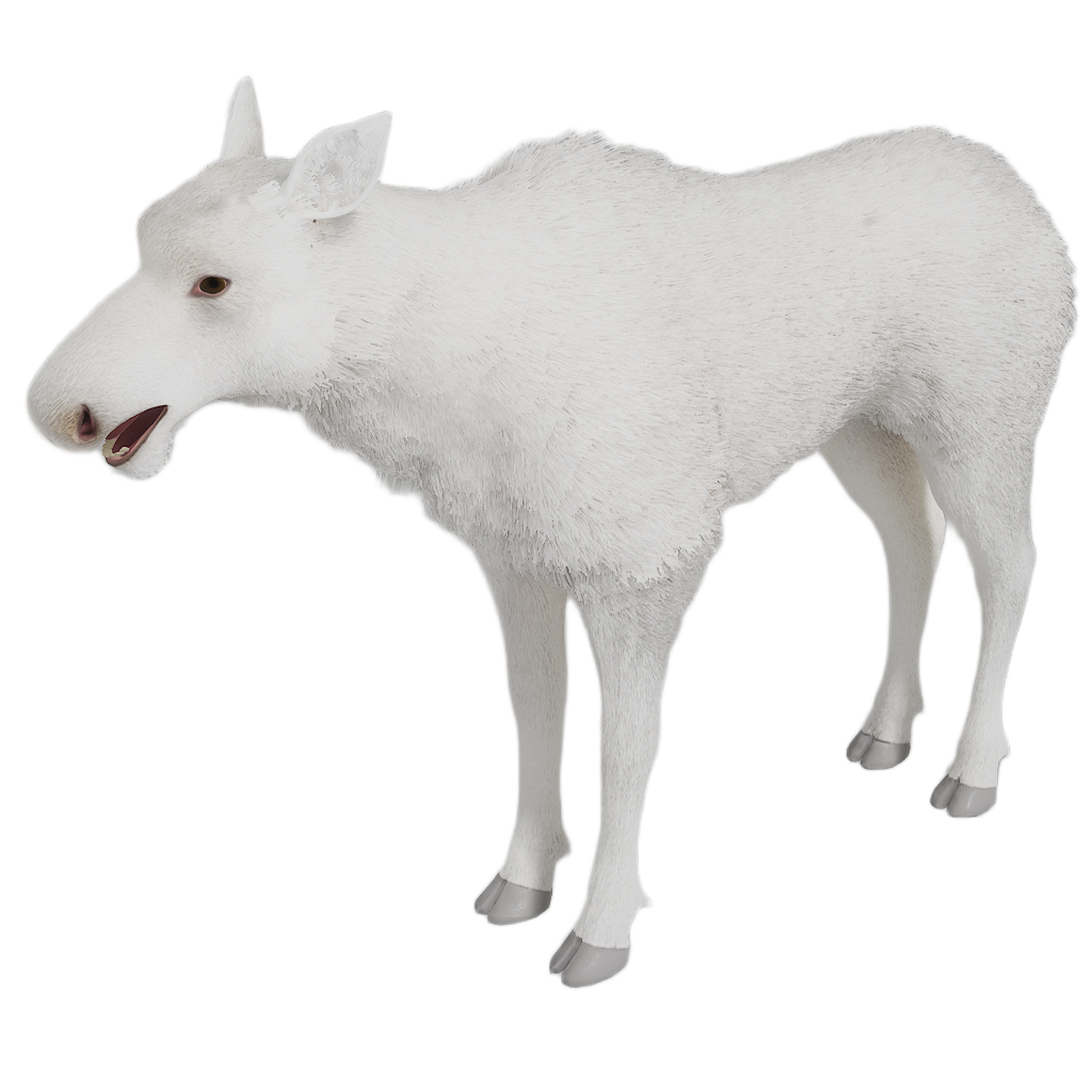 Ussuri Moose female fur 6