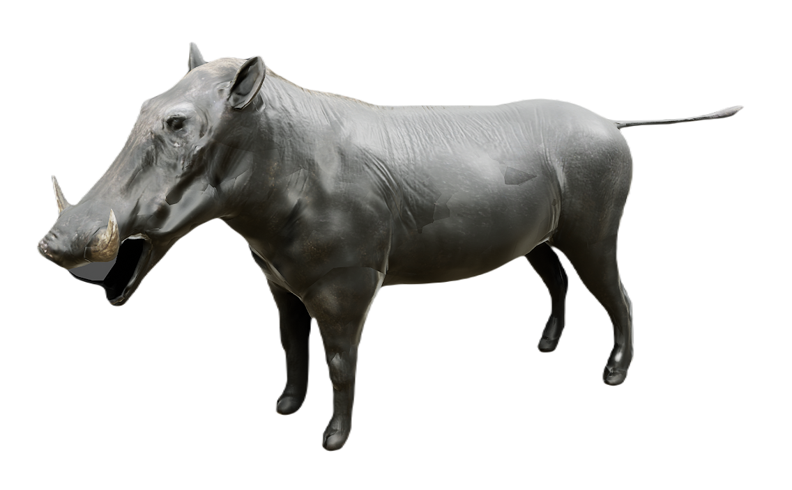 Warthog male fur 2