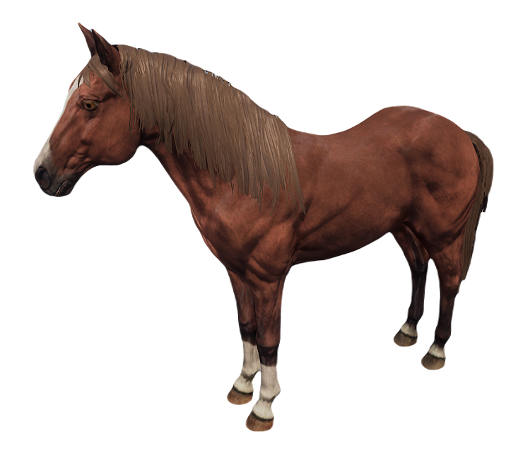 HORSE 0