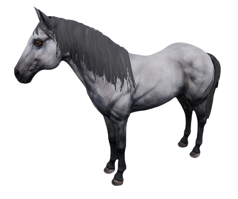 HORSE 1