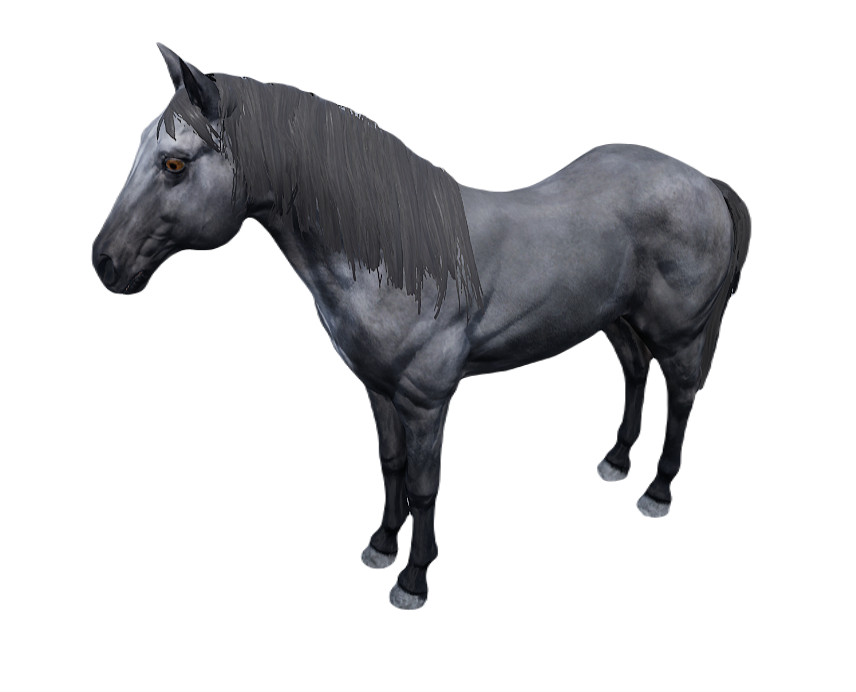 HORSE 3