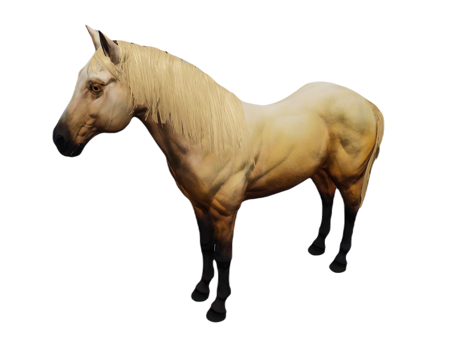 HORSE 5