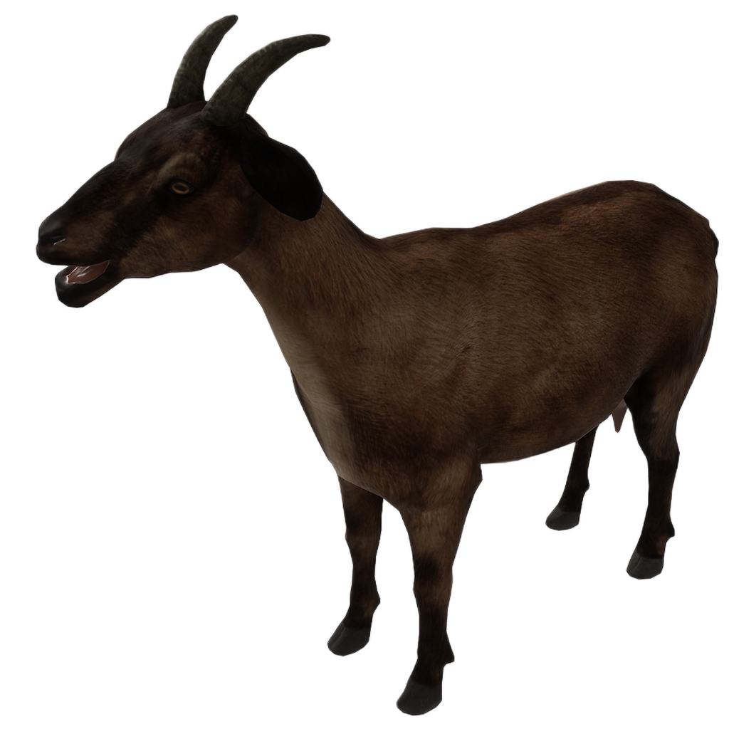 Goat