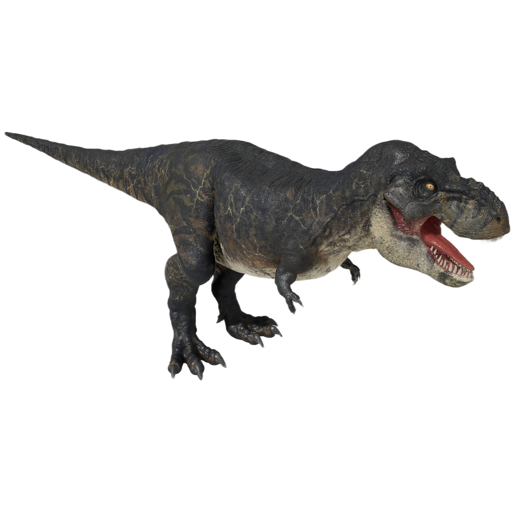 T-REX 4