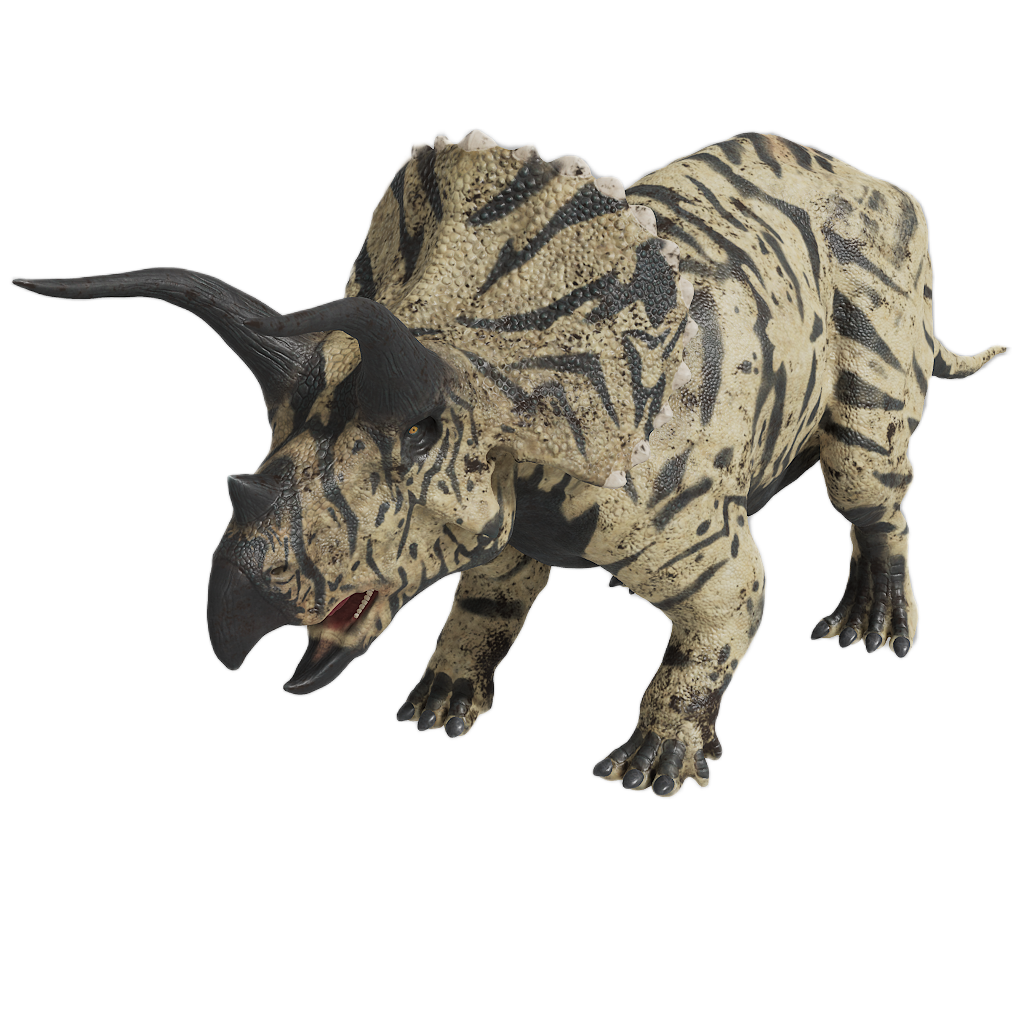 TRICERATOPS 1