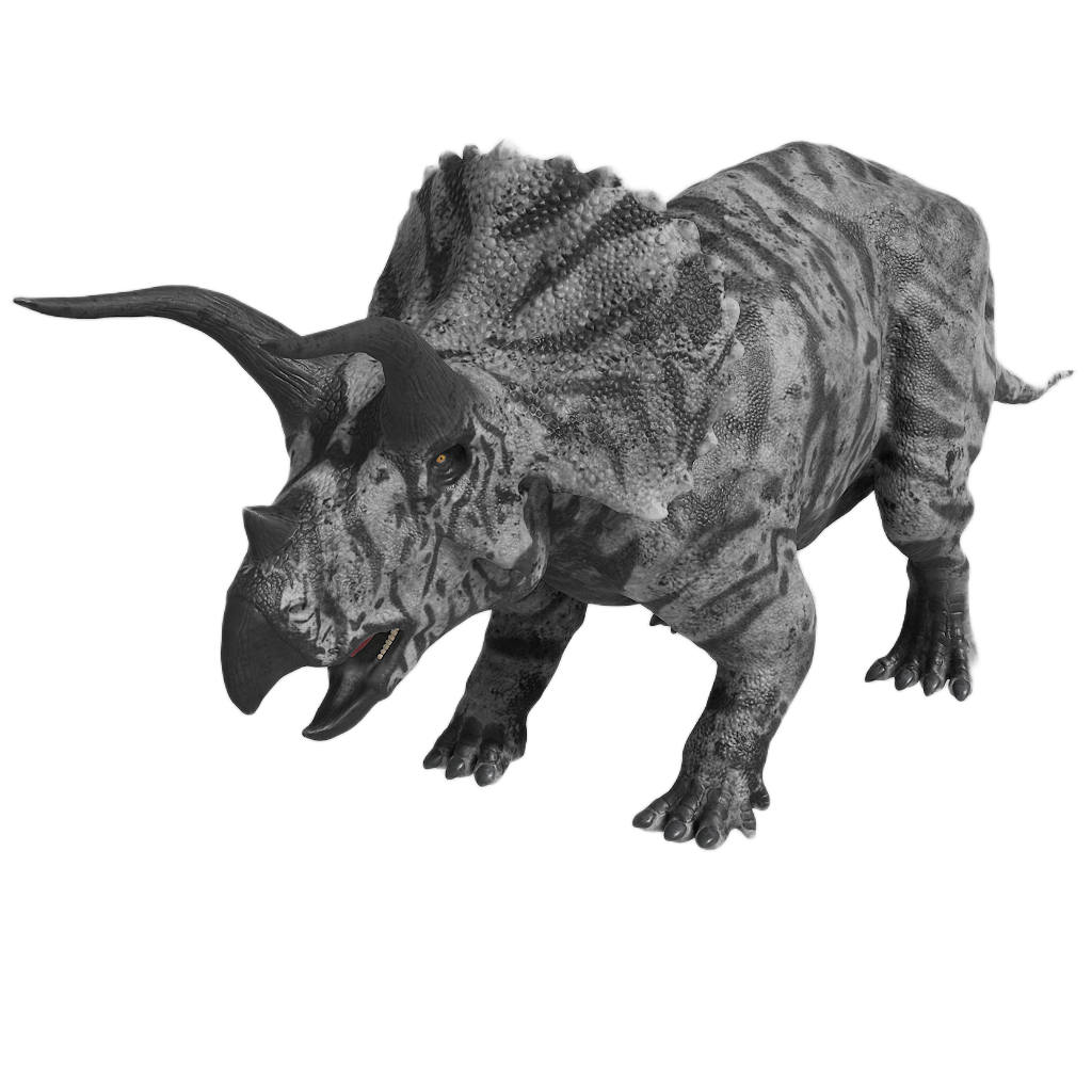 TRICERATOPS 11