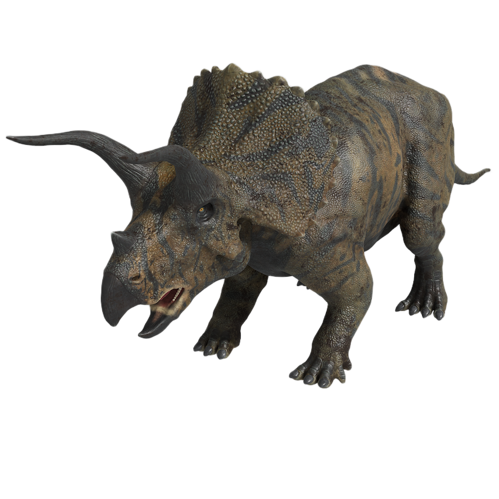 TRICERATOPS 4
