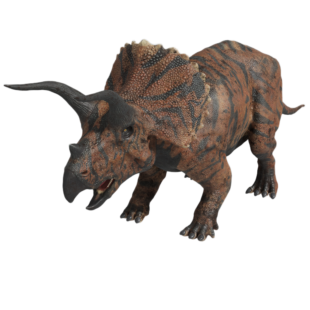 TRICERATOPS 5
