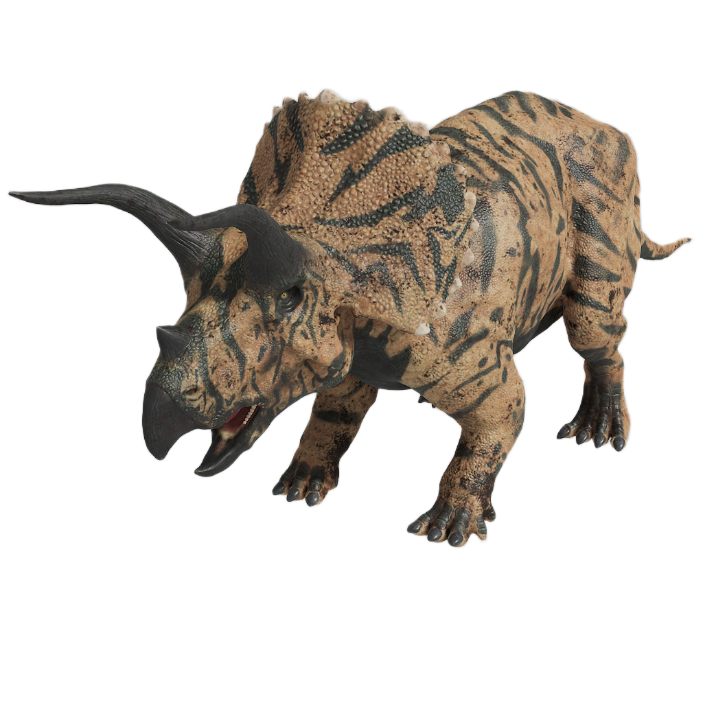 TRICERATOPS 7
