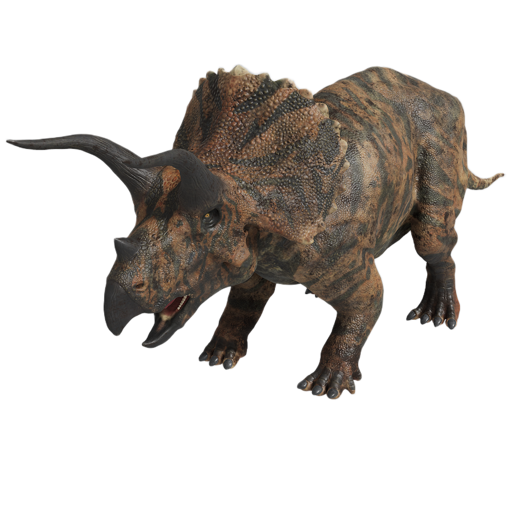TRICERATOPS 8