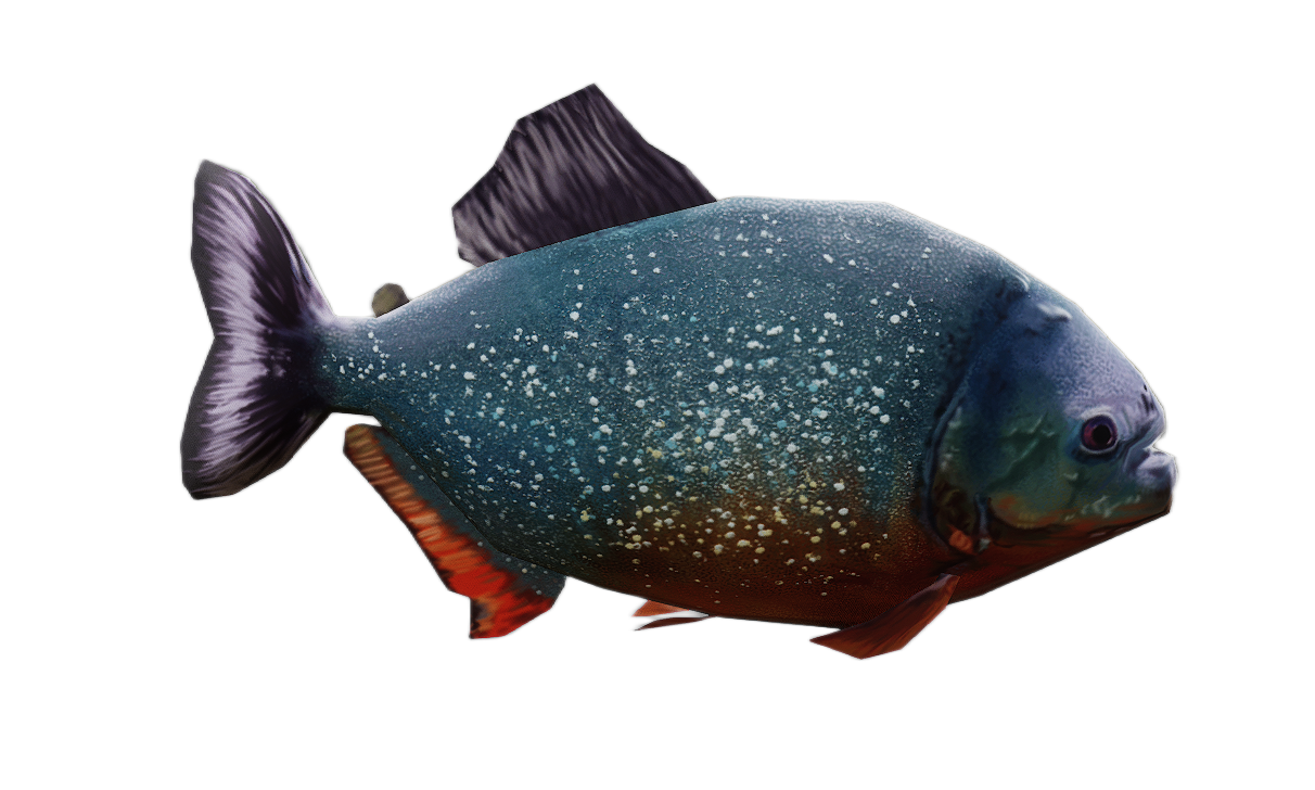 Red Piranha