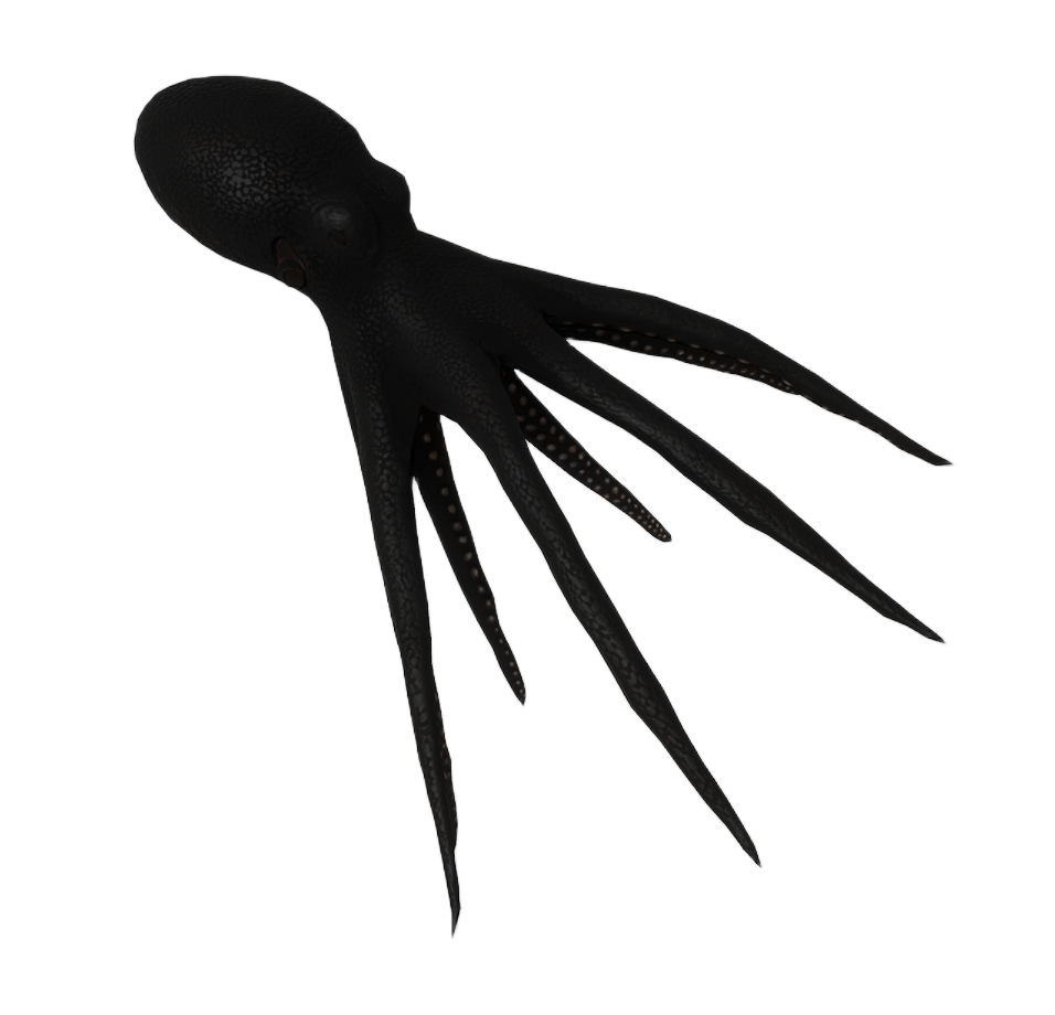 Black Octopus