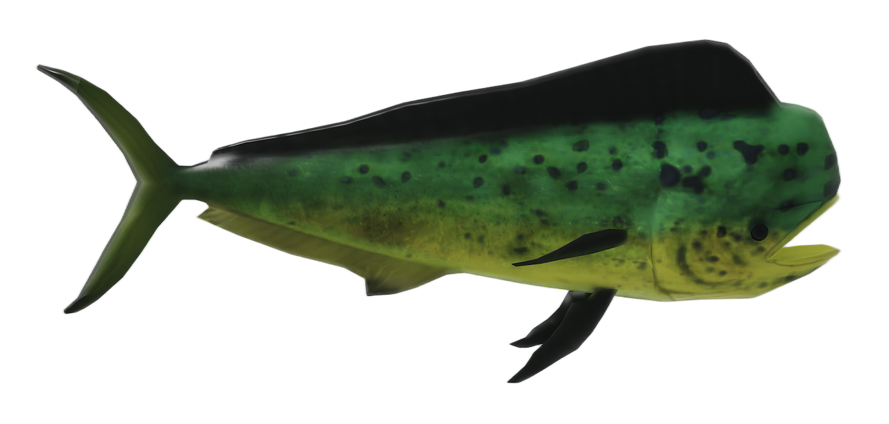 Mahi-mahi