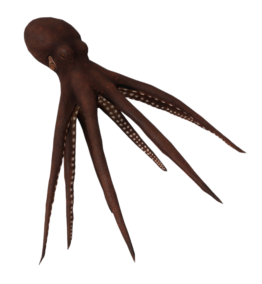 Red Octopus
