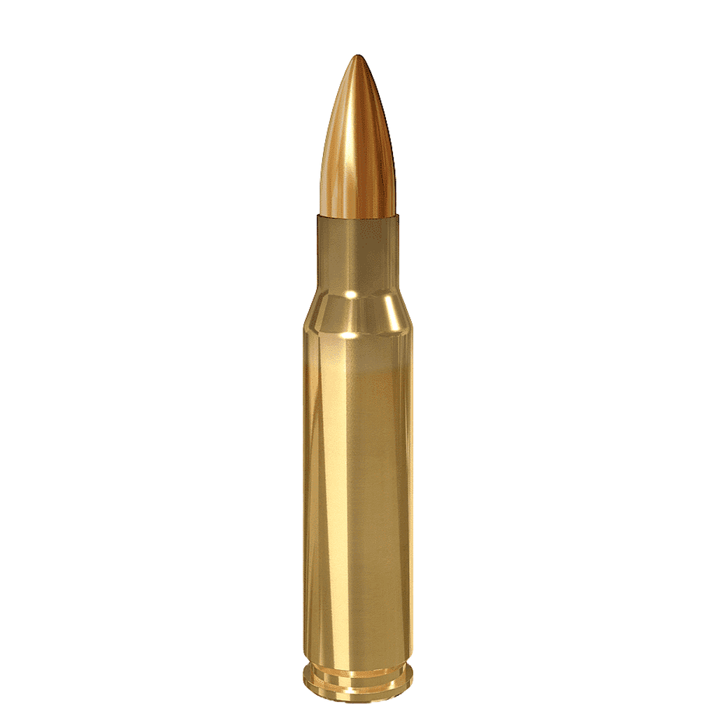.308 Polymer Tipped